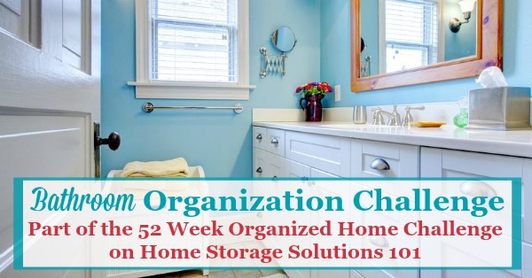 Get an Organized Bathroom Vanity in 5 Simple Steps