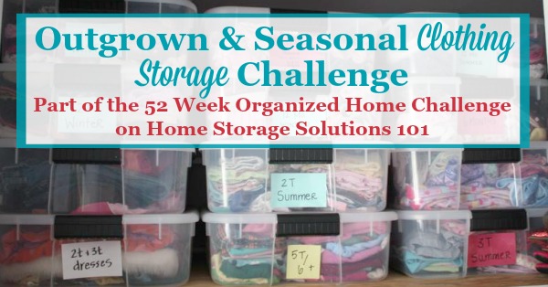Outgrown & Seasonal Clothing Storage Challenge