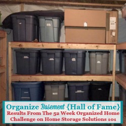 Basement Organization With Step By Step Instructions