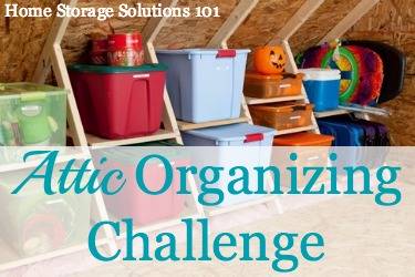 Attic Storage 101