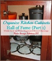 Kitchen Cabinet Organization — Kevin & Amanda