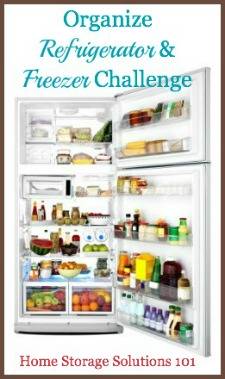Refrigerator and Freezer Storage