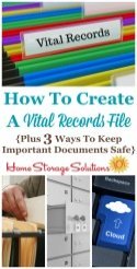 Vital Records File