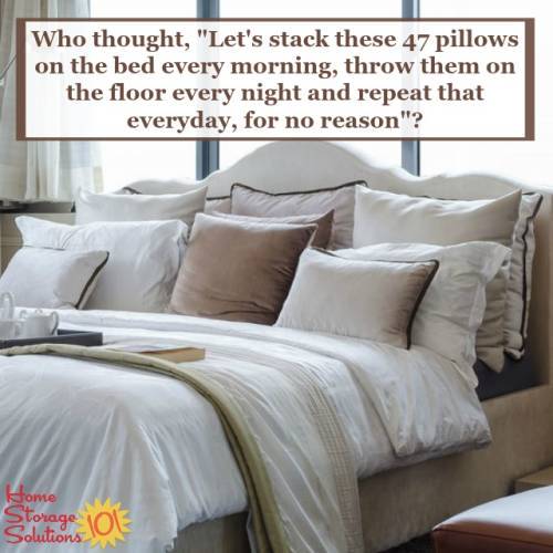 https://www.home-storage-solutions-101.com/images/500x500xdeclutter-pillows-decorative-pillows-meme-instagram-image.jpg.pagespeed.ic.XKXfstAn6Y.jpg