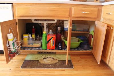 Organizing the cabinet under the kitchen sink - Lansdowne Life