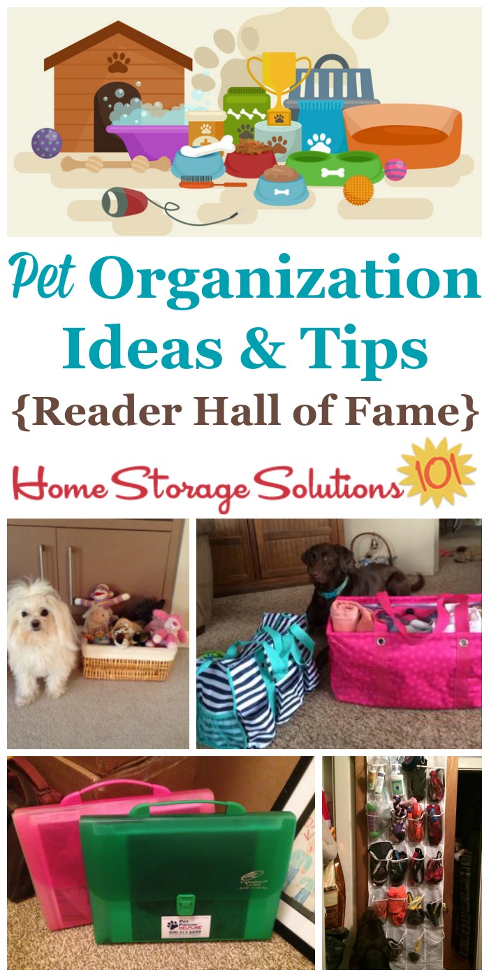organizing dog stuff