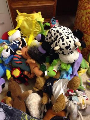 my stuffed animal collection