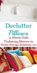 Declutter Pillows