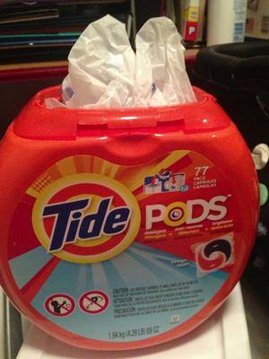https://www.home-storage-solutions-101.com/images/xtide-pods-container-makes-a-perfect-plastic-bag-dispenser-21807433.jpg.pagespeed.ic.on15S86hgj.jpg